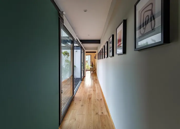 Modern Apartments La Condesa Pet Friendly